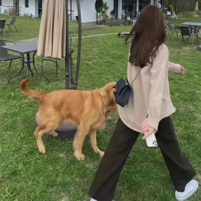 笑春风