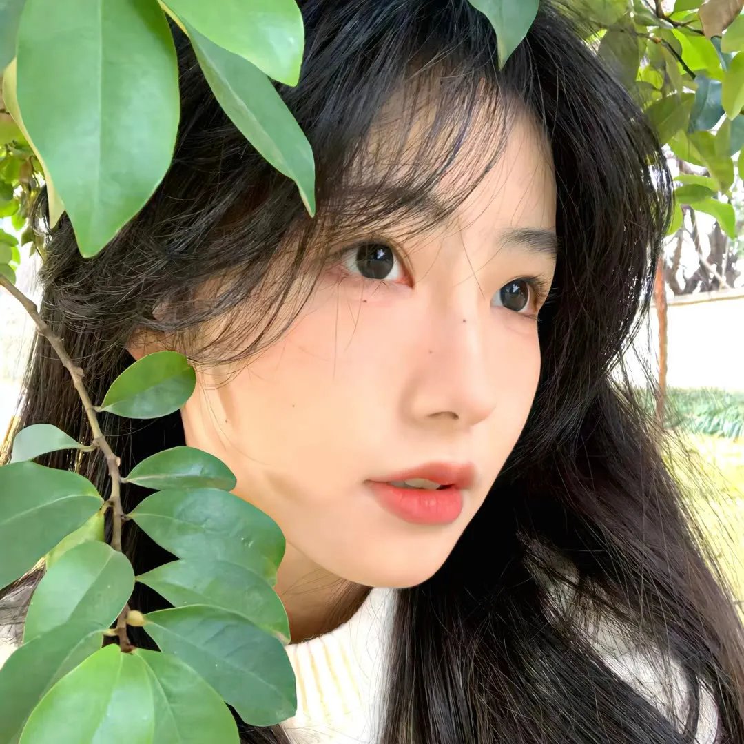 兰德的激情